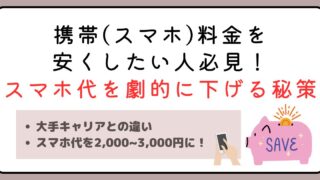 携帯(スマホ)料金を安くしたい人必見！スマホ代を劇的に下げる秘策とは 