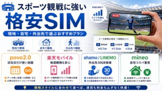 格安SIMでスポーツ観戦を楽しむ完全ガイド｜現地・自宅・外出先別おすすめプラン 