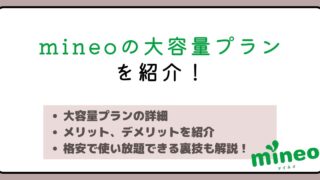 mineoの大容量プランを紹介！格安で使い放題を実現する裏技も解説！ 