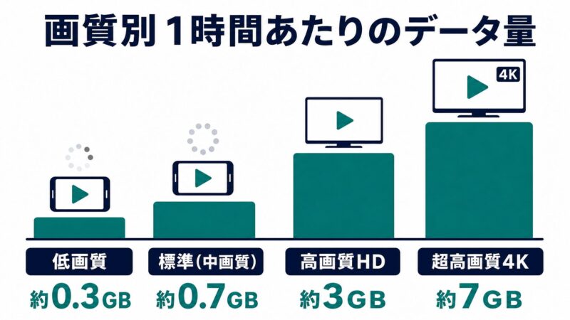格安SIMでNetflixや動画サブスクを見るなら？必要なギガと大容量プランを解説